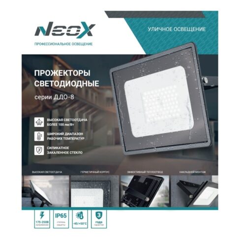 Прожектор светодиодный NEOX ДДО-8 6500К 100 Вт IP65 черный